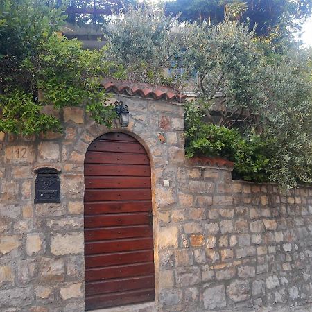 Sea-Side Old Stone Villa With A Private Garden Budva Exteriér fotografie