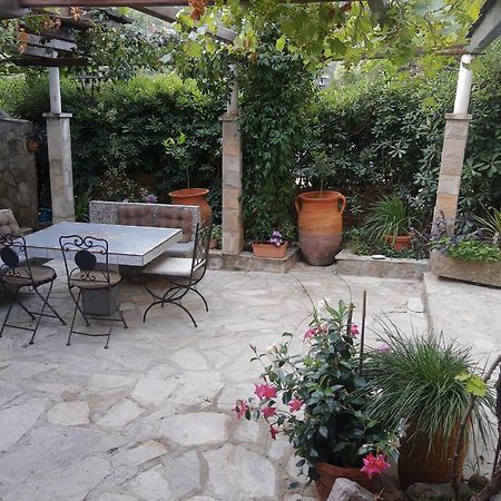Sea-Side Old Stone Villa With A Private Garden Budva Exteriér fotografie
