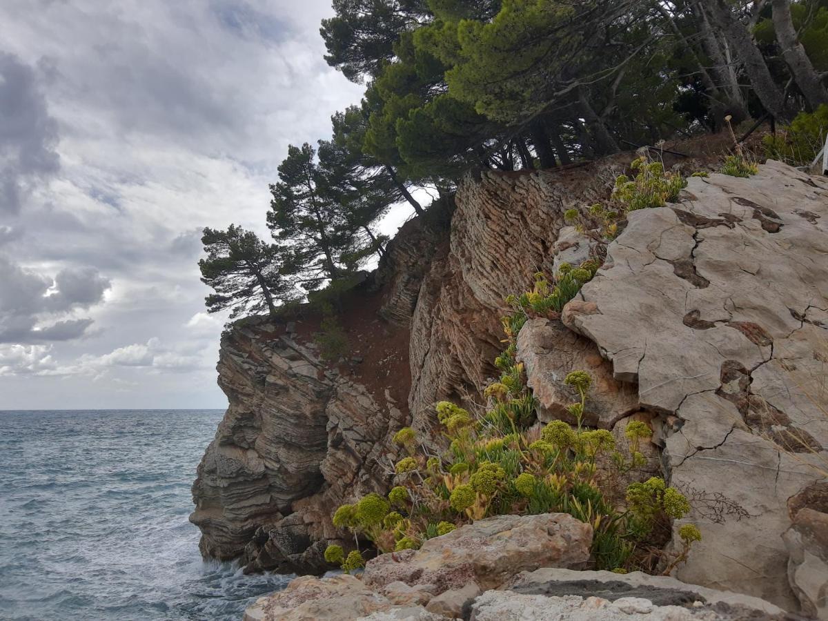 Sea-Side Old Stone Villa With A Private Garden Budva Exteriér fotografie