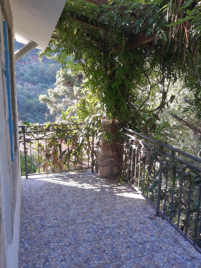 Sea-Side Old Stone Villa With A Private Garden Budva Exteriér fotografie