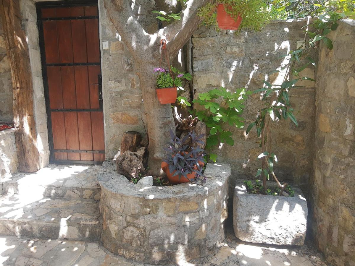 Sea-Side Old Stone Villa With A Private Garden Budva Exteriér fotografie