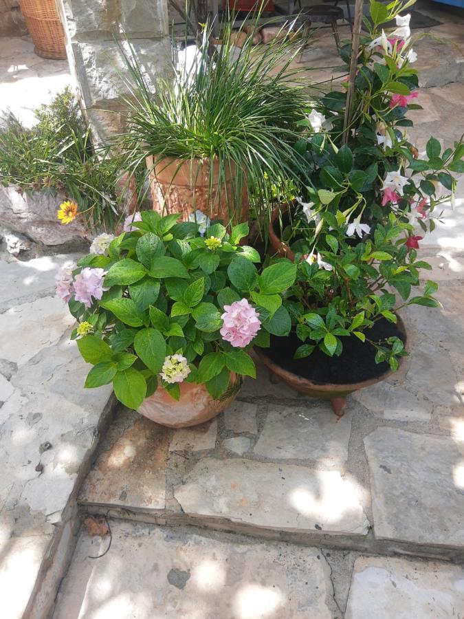 Sea-Side Old Stone Villa With A Private Garden Budva Exteriér fotografie