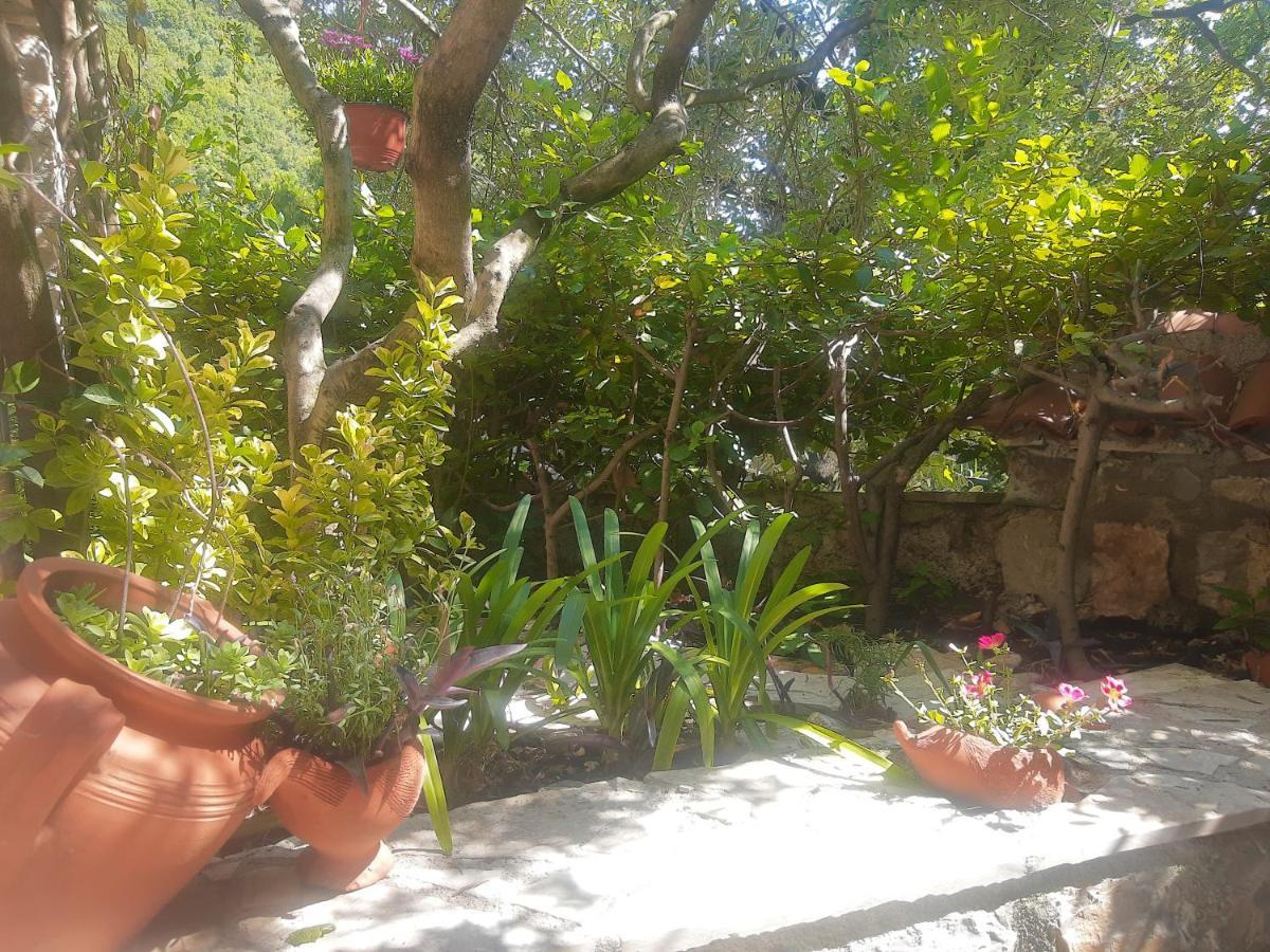 Sea-Side Old Stone Villa With A Private Garden Budva Exteriér fotografie