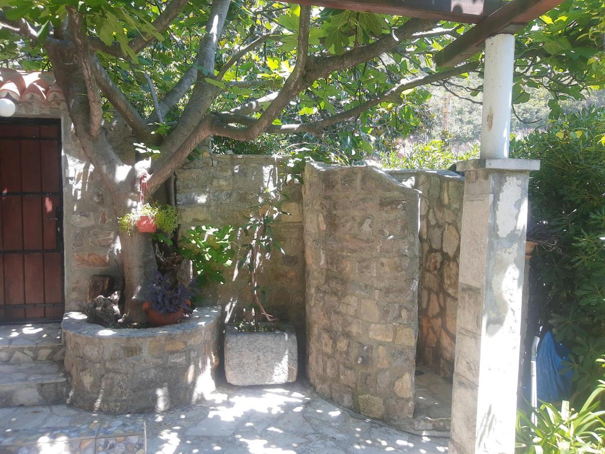 Sea-Side Old Stone Villa With A Private Garden Budva Exteriér fotografie