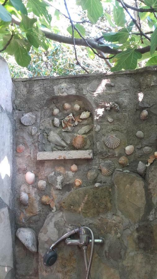 Sea-Side Old Stone Villa With A Private Garden Budva Exteriér fotografie